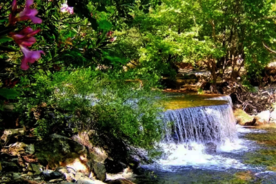 KAZDAĞI NATIONAL PARK