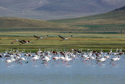 BIRD PARADISE NATIONAL PARK