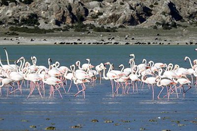 BIRD PARADISE NATIONAL PARK