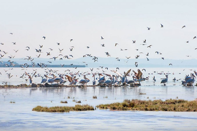 BIRD PARADISE NATIONAL PARK