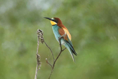 BIRD PARADISE NATIONAL PARK