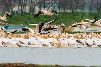 BIRD PARADISE NATIONAL PARK